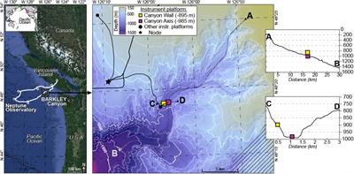 Interannual Variation in the Population Dynamics of Juveniles of the Deep-Sea Crab Chionoecetes tanneri